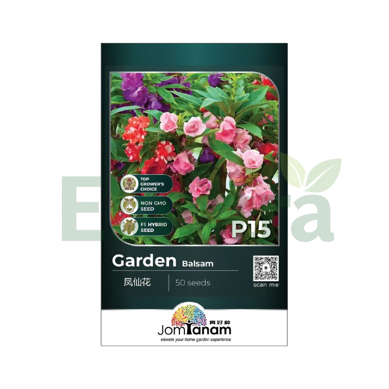 P15 GARDEN BALSAM